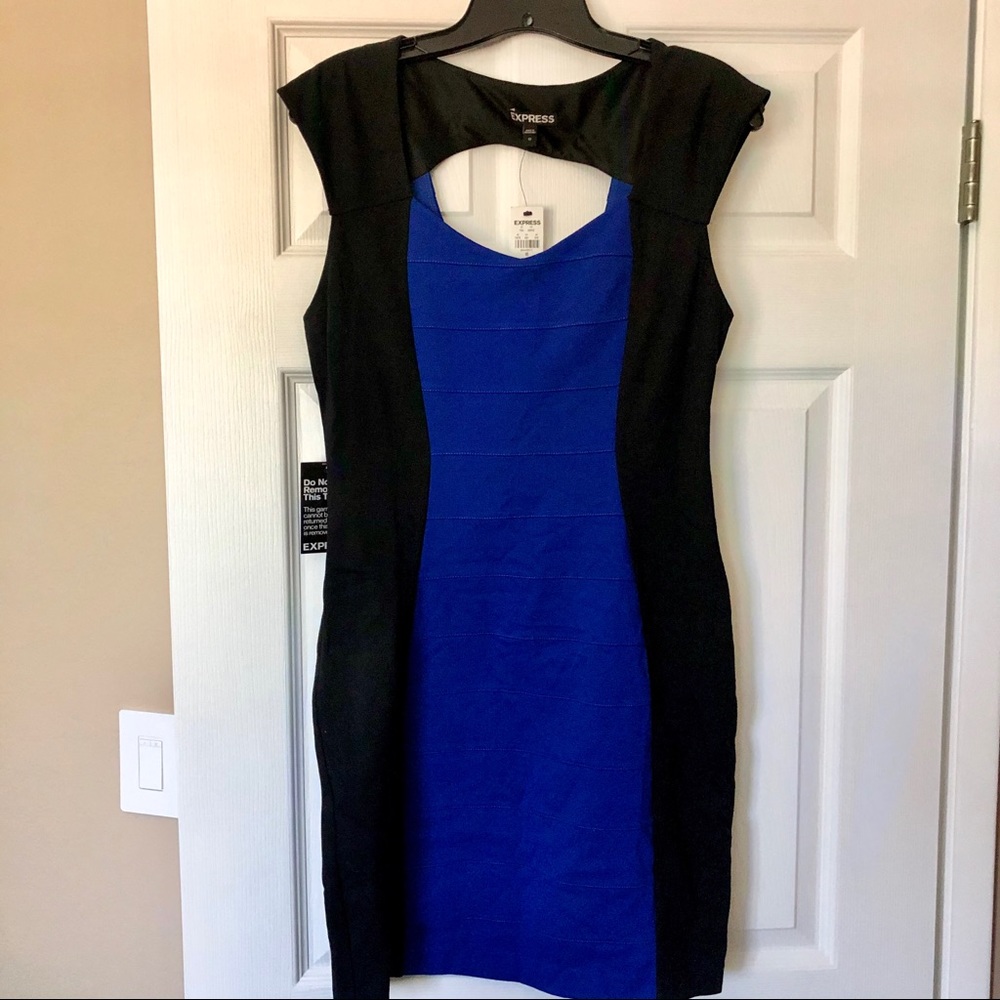 Express Fitted Knit Sheath Dress